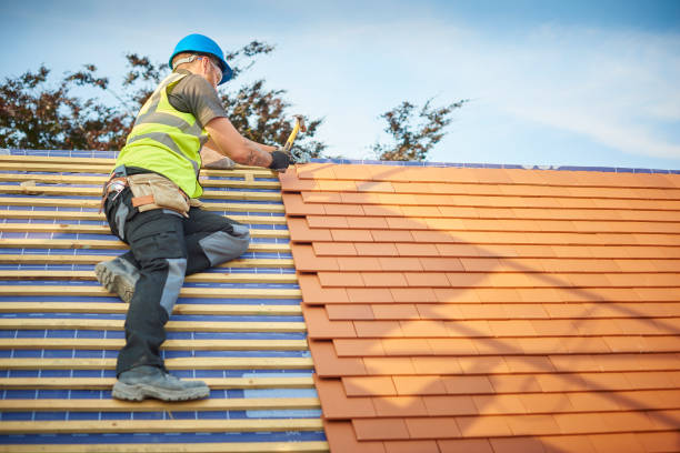 Best Roof Moss and Algae Removal  in Watchung, NJ